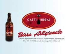 gatti_birrai