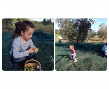olio altro sapore